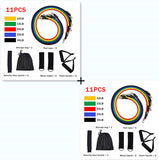 Fitness Rally Elastic Rope Resistance Band - LiftEra Fitness