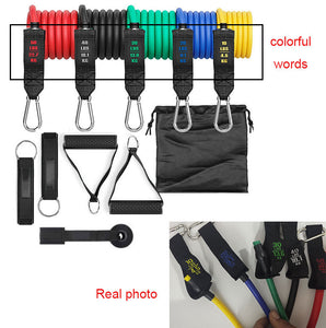 Fitness Rally Elastic Rope Resistance Band - LiftEra Fitness