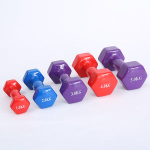 Color fitness dumbbells - LiftEra Fitness