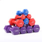 Color fitness dumbbells - LiftEra Fitness